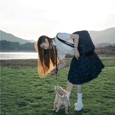 苍蝇